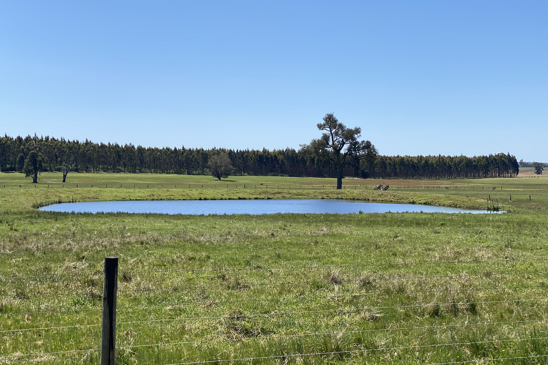 526 Ralston Road (Dixvale), Manjimup - Thumbnail 4