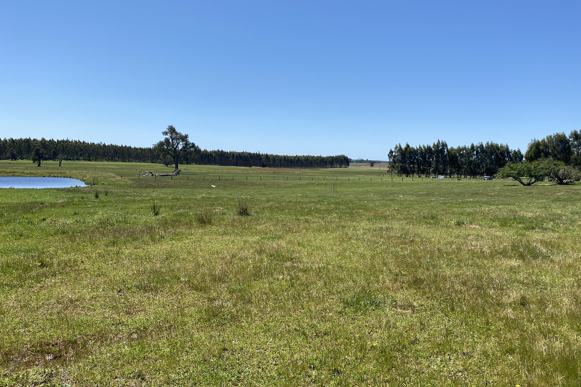 526 Ralston Road (Dixvale), Manjimup - Thumbnail 5