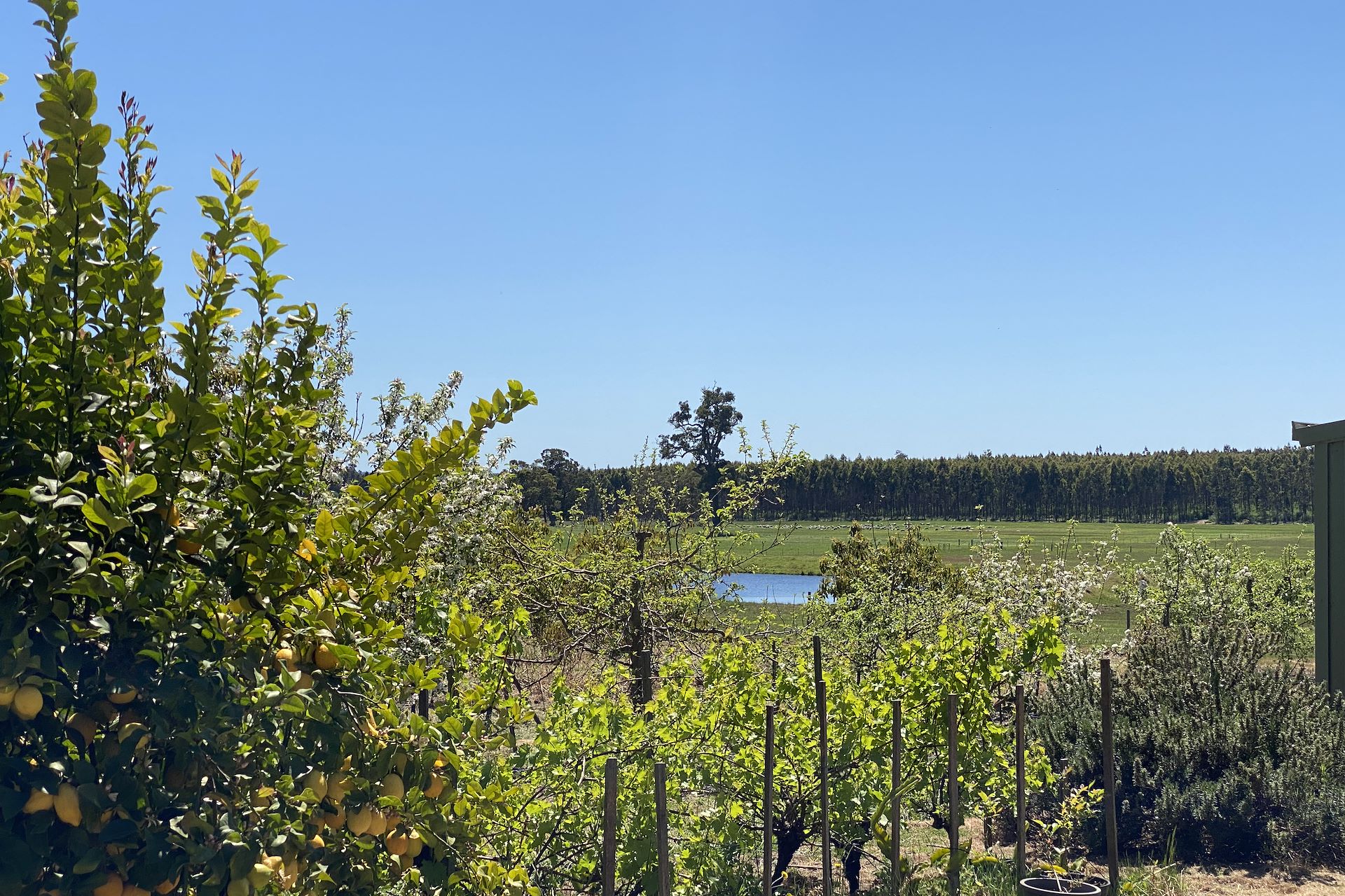 526 Ralston Road (Dixvale), Manjimup - Thumbnail 8